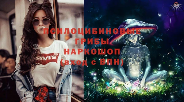 эйфоретик Балахна