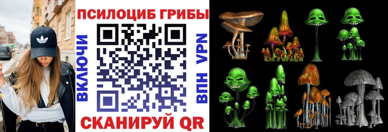 Псилоцибиновые грибы Psilocybe  Отрадное 